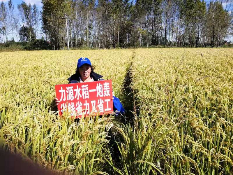 &#24320;&#20113;&#30331;&#38470;&#20837;&#21475;&#45;&#24320;&#20113;&#111;&#110;&#108;&#105;&#110;&#101;&#40;&#20013;&#22269;&#41;